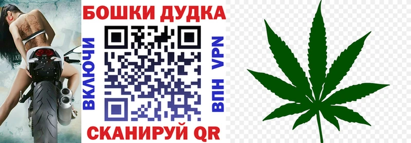 Канабис сатива  Купить где  Нариманов 